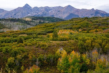 Dallas Divide - Ridgeway Colorado