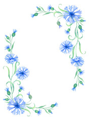 Frame with cornflower flowers. Watercolor illustration with blue flowers. Vintage square frame with herbs, flowers and leaves