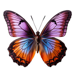 beautiful purple and orange butterfly flying over transparent background.