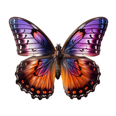 beautiful purple and orange butterfly flying over transparent background.