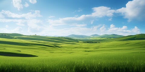 Green Field with a Small Stream Flowing Through, Set Against a Summer Blue Sky, Emphasizing the Beauty of Freshwater and the Serenity of Nature