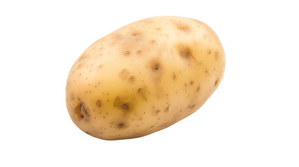 potato isolated on white background