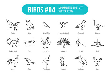 Bird Icons – Pack with eighteen types of birds with names. Trendy vector symbols suitable for website, apps and UI kit