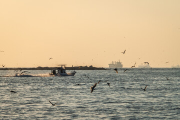 Port Aransas, Texas, Island destination on the Texas Gulf Coast, Gulf of Mexico, for Texans all year long. It has something for everyone, especially birders and beachgoers.