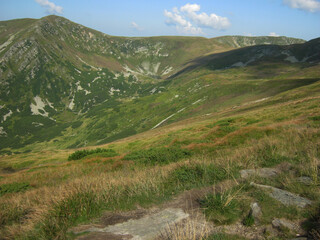 Fototapeta na wymiar landscape of the Ukrainian Carpathians in summer