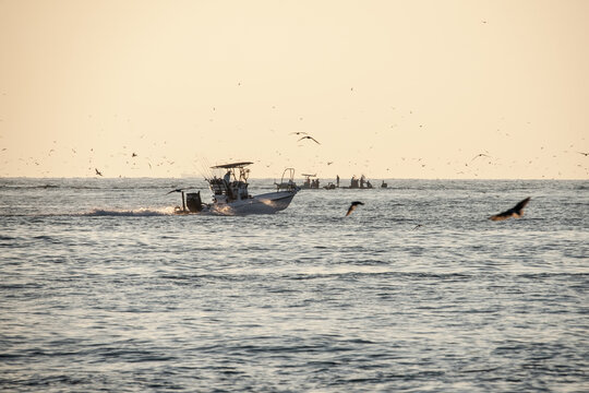 Port Aransas, Texas, Island destination on the Texas Gulf Coast, Gulf of Mexico, for Texans all year long. It has something for everyone, especially birders and beachgoers.