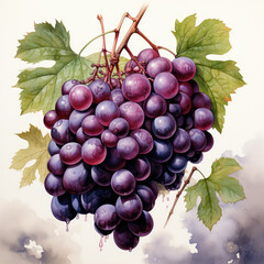 Fototapeta premium watercolor Grape Juice clipart, Generative Ai