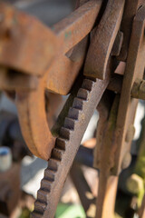 An antique rusty metal cogwheel