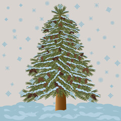 fir tree, cones on  the tree, snow , falling snow, vector