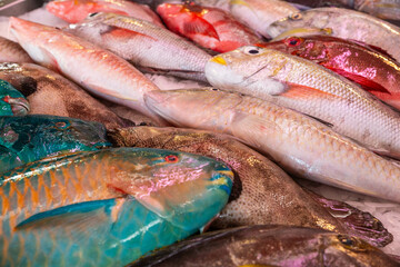 Variety of Fresh Seafood for Sale at a Fish Market
