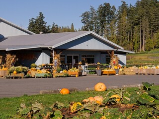 Thanksgiving display of fresh fall produce in the farm land