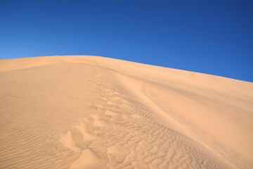 Fototapeta na wymiar A desert sand dune against a bright blue sky. Hot climate and dehydration