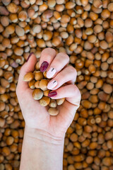 An overhead photo of a female hand with well-groomed nails picking up freshly picked brown hazelnuts in the woods. Autumn colors and pink and sangria nail polish.