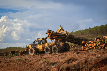 Obraz premium Forest Tractor Machine Logging Equipment