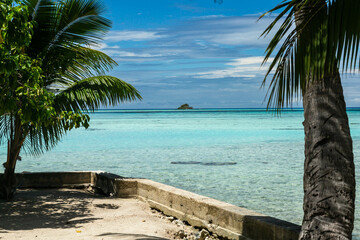 Tranquil Tropical Paradise: Beach with Palm Trees and Clear Blue Ocean of Rangaria, French Polynesia 