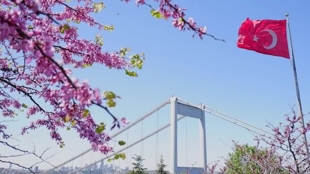  The Turkish flag is waving in the wind in a park overlooking the bridge over the Bosphorus and beautifully blooming sakura. Travel Istanbul background photo