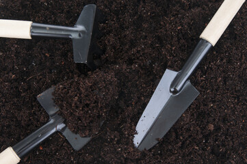 Garden shovels and rake  in the ground