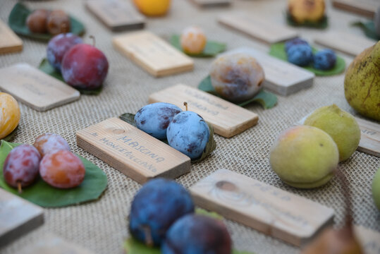 anciant fruit on a table