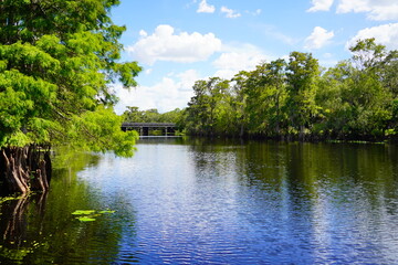 Landscape of Hillsborough river at Lettuce lake park 