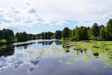 Landscape of Hillsborough river at Lettuce lake park 