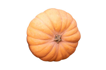 Harvest festival with autumn pumpkins and vegetables, isolated on a white background. Sale of agricultural crops on the outdoor market after the holiday