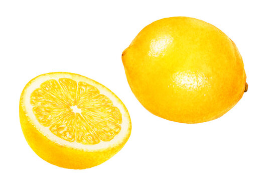 Close-up view watercolor illustration of a lemon, isolated png-file. Hand drawing for packaging design, menus, books, postcards..