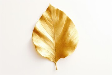 Golden Leaf. Gold Leaf isolated on white background.