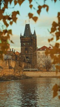 landscape with Vltava river and Karlov most in the evening shotted through the foliage in autumn in Prague, Czech Republic.
