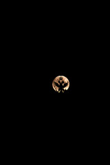 Full moon with silhouette of double-headed eagle symbol of Russia. 