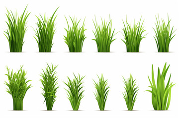 Obraz premium Set of green grass isolated on white background
