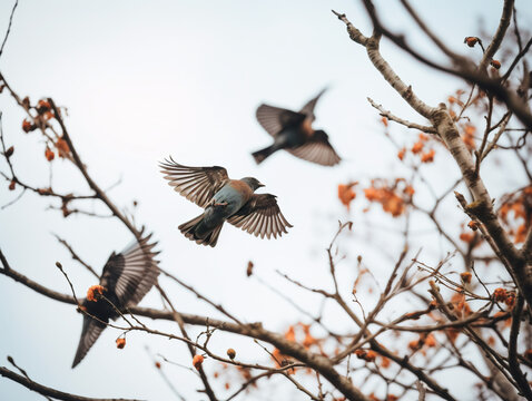 Birds gracefully soar through the air or find tranquility on branches in vintage style photography.