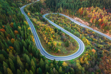 Aerial view of winding mountain road in forest at sunset in autumn in Ukraine. Top drone view of road in woods. Beautiful landscape with roadway, pine trees, orange foliage in fall. Travel. Nature - obrazy, fototapety, plakaty