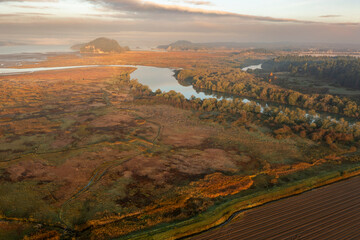 Fototapeta premium Aerial view of the Skagit Bay Estuary. The Skagit Headquarters Unit is tidal marsh (estuary) on Fir Island, west of and adjacent to Freshwater Slough.