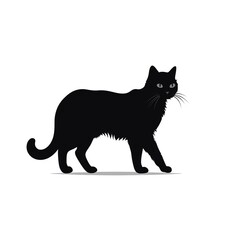 silhouette of a black cat on white background