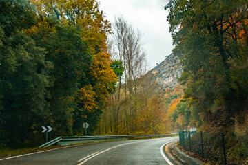 Fototapeta premium Road surrounded by autumn vegetation