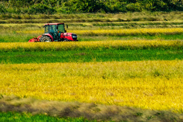 稲刈り後の田んぼを整地しているトラクター