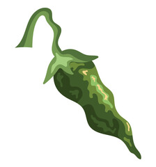 Fototapeta premium jalapeno green illustration