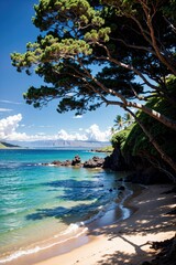 island beach with palm trees