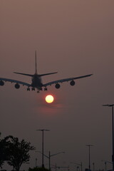 Airplane during sunset