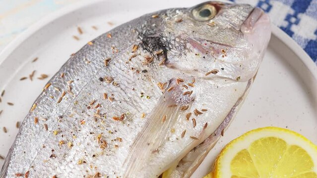 Raw dorado fish on plate, close up. Top view