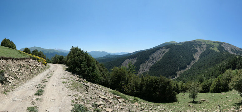 Panorama