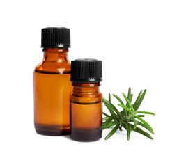 Sprig of fresh rosemary and essential oil on white background