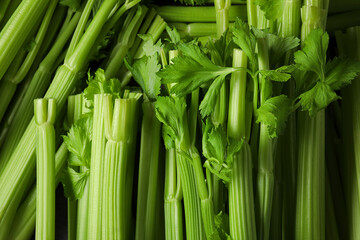 Fototapeta premium Many fresh green celery bunches as background, top view