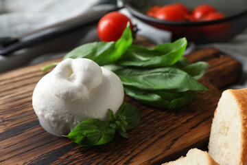 Delicious burrata cheese with basil on wooden board, closeup