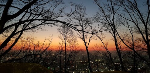 Obraz premium autumn