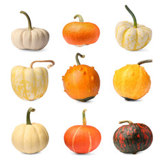 Set of different pumpkins isolated on white