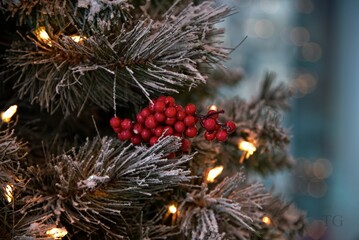 christmas tree decorations
