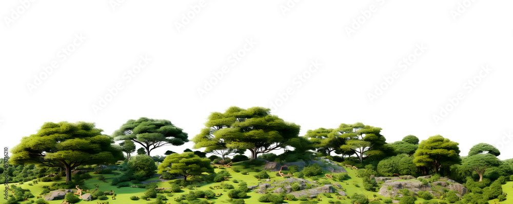 Poster landscape green trees in the forest and foliage in summer. row of trees and shrubs. isolated on whit