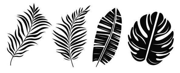 Beautifil Palm Tree Leaf Silhouette Background - obrazy, fototapety, plakaty