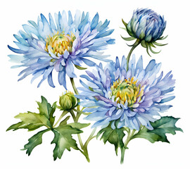 Blue aster flower on paper, drawing watercolor painting